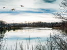 mamlspin/3f9ce02618dd3c0014e2d101fb4d06a4.jpg?width=131&height=105&format3=webp
