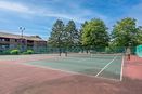 mamlspin/412193ee4a52cc831a4e0724443ad2b2.jpg?width=131&height=105&format3=webp