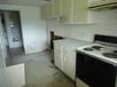 mamlspin/4779ed13beae2e088921dcde492bd7c6.jpg?width=131&height=105&format3=webp