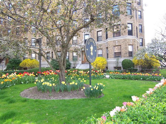 Community Image