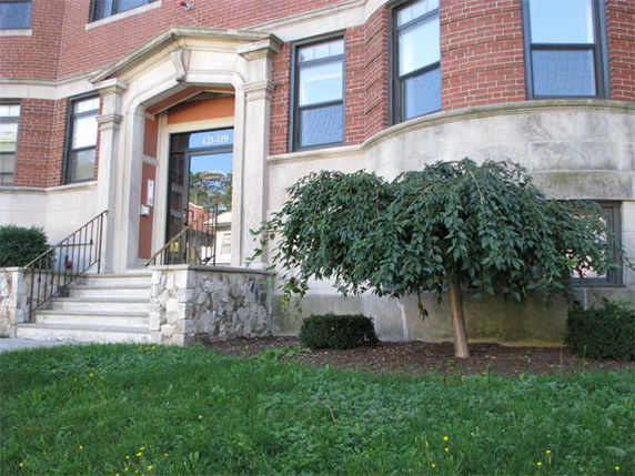 Building image