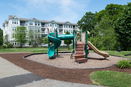 mamlspin/513e6ad03cd6a3f95229ee9103674f84.jpg?width=131&height=105&format3=webp