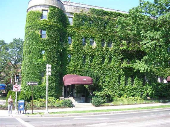 Building Images