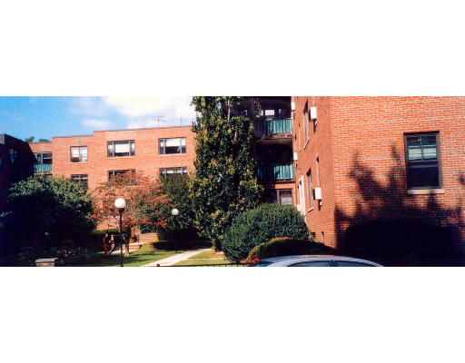 Building Images