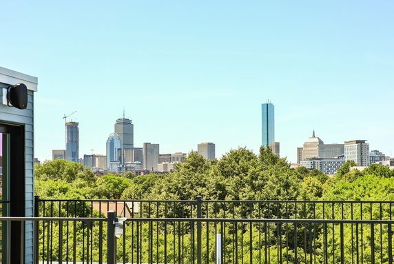 Rooftop view overlooking a city skyline with trees in the foreground and a metal railing.