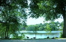 mamlspin/621fc29576aa5933762ce91f55f2b906.jpg?width=131&height=105&format3=webp