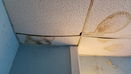 mamlspin/626c272deca5629fc296c019d13b5db9.jpg?width=131&height=105&format3=webp