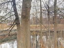 mamlspin/631614f6f71c0bf880b004072b9f380d.jpg?width=131&height=105&format3=webp
