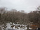 mamlspin/639e404a9e8beb9d744f19341aeaa462.jpg?width=131&height=105&format3=webp