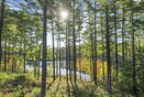mamlspin/68d776f171a0bf15487fc282485751c5.jpg?width=131&height=105&format3=webp