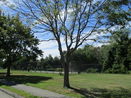 mamlspin/6b57288c715c24cc461fed89ab336ce9.jpg?width=131&height=105&format3=webp
