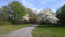 mamlspin/6b9e4c2ff48a6c706b0c89aa81a5b93c.jpg?width=131&height=105&format3=webp
