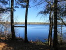 mamlspin/6d281a9b0ceebb41c298a9f21b702386.jpg?width=131&height=105&format3=webp