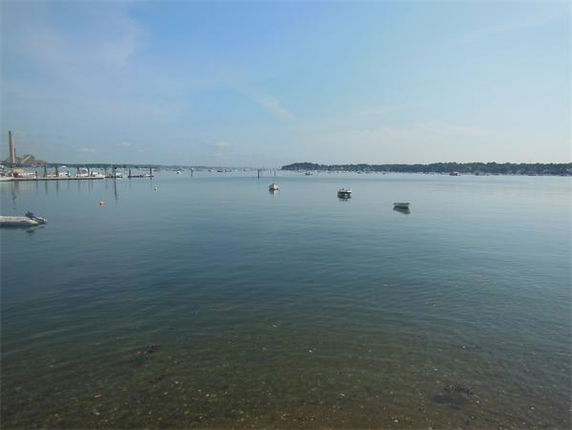 Wide view of a calm water body with several small boats floating and distant land in the background.