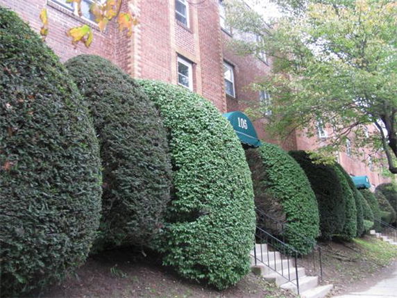 Front view of a brick apartment building with manicured shrubbery.