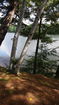 mamlspin/75965818cc44c4d3fb0dd64eea66af9b.jpg?width=131&height=105&format3=webp