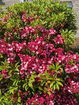 mamlspin/793961f96f0f1ae9dbac2ee46f341495.jpg?width=131&height=105&format3=webp