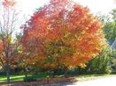 mamlspin/7c95594404ed4ca429dc622a84bd3297.jpg?width=131&height=105&format3=webp