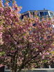mamlspin/7d288ff8bcb84e256ff65d211c5ddd06.jpg?width=131&height=105&format3=webp