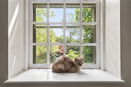 mamlspin/7d652a55ab873067bc7ee237ab48d9e4.jpg?width=131&height=105&format3=webp