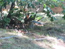mamlspin/80b8a8ddd69cf87070223f106a9caedb.jpg?width=131&height=105&format3=webp