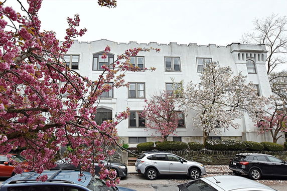 Front view of a white multi-story building with flowering trees in front.