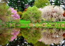 mamlspin/8e6fd3c3a3e56d70c98c1d78026a48bd.jpg?width=131&height=105&format3=webp