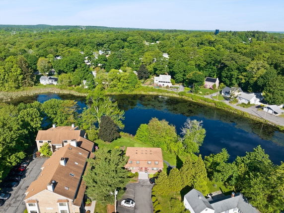 Aerial view showing a group of buildings near a body of water with surrounding green trees.