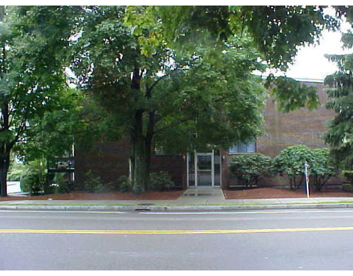 Front view of a brick building partially obscured by trees.