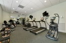 mamlspin/98956093cb7c72cc05b9c3f6dd3b6bd8.jpg?width=131&height=105&format3=webp