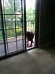 mamlspin/9948dea9c23a794f3d47737921040ac1.jpg?width=131&height=105&format3=webp