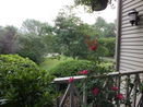 mamlspin/9b6c5eceff4bd217cb7d5e30941132e7.jpg?width=131&height=105&format3=webp
