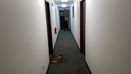 mamlspin/9cc9c36f22f98f0cd6691da2bc622847.jpg?width=131&height=105&format3=webp