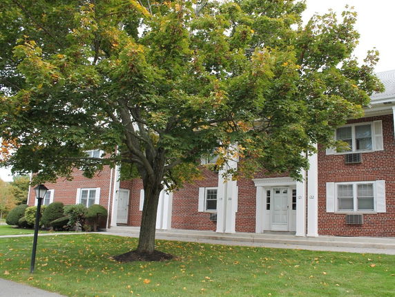 Community Image