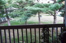 mamlspin/a21c4bb7c01f492984bd8fd42662a648.jpg?width=131&height=105&format3=webp
