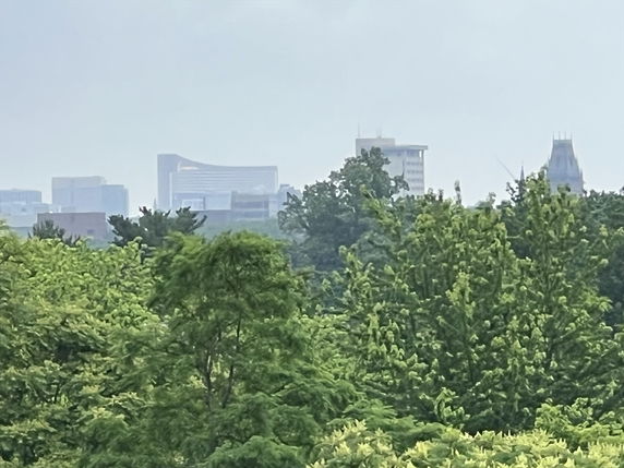 Building Images