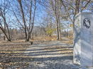 mamlspin/af91790df2ada436ac6eab4be9bd8aba.jpg?width=131&height=105&format3=webp