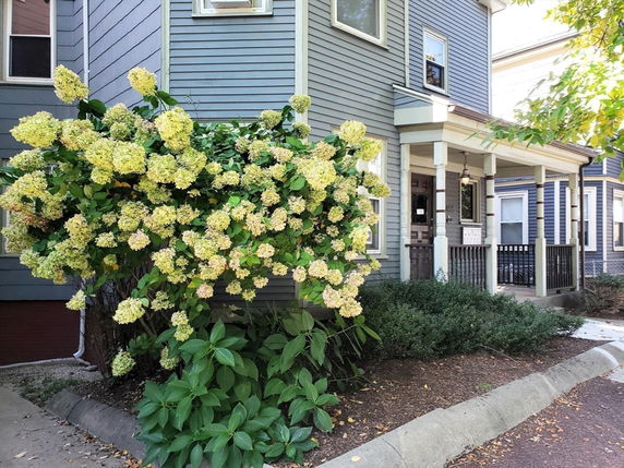 Front view of a two-story house with a porch and flowering bushes.