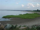 mamlspin/bd65c48bfad45320d54a930c048e59f4.jpg?width=131&height=105&format3=webp