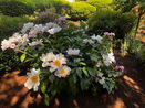 mamlspin/bf366791044bb28bda193f52aded690a.jpg?width=131&height=105&format3=webp
