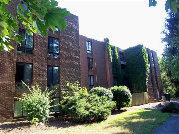 Front view of a brick apartment building with ivy-covered walls.