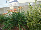 mamlspin/c0ef4a21da145cca853d2501315df974.jpg?width=131&height=105&format3=webp