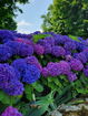 mamlspin/c76f62ea20bc015b7c1a8340ceca61a8.jpg?width=131&height=105&format3=webp