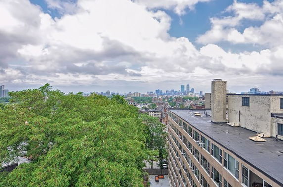 Wide-angle view of cityscape with a building and trees in the foreground.