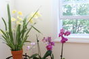 mamlspin/d270e4c4470bc7c3b1dc37f41d155344.jpg?width=131&height=105&format3=webp