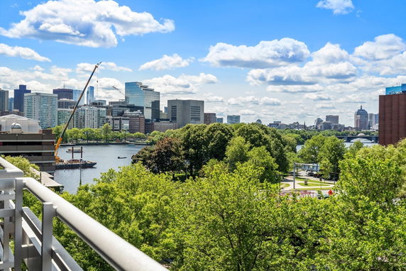 Panoramic view of a city skyline with trees and a river in the foreground.