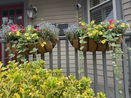 mamlspin/da26d87a63db5b8cdbee011e0c5edb4a.jpg?width=131&height=105&format3=webp