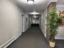 mamlspin/dac261adfeb62bc1583a83b197450f28.jpg?width=131&height=105&format3=webp