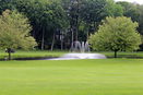 mamlspin/dc42c11f96a4a8e26e22316a9a1ae9c8.jpg?width=131&height=105&format3=webp
