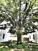 mamlspin/dceb834ce3ffc1b3c0a3b45e433eb856.jpg?width=131&height=105&format3=webp
